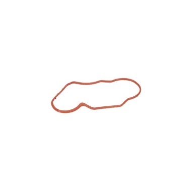 JOINT    1611015050  D'ORIGINE BOSCH