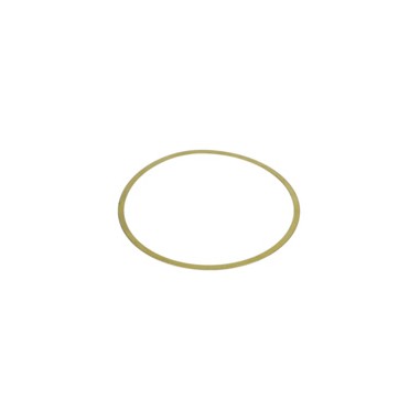 BAGUE POUR PALIER    1619P04010 D'ORIGINE BOSCH