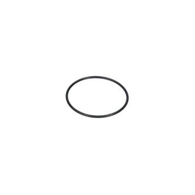 JOINT TORIQUE    F016F02899  D'ORIGINE BOSCH