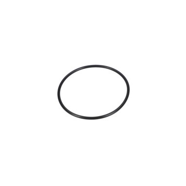 JOINT TORIQUE    F016F02900  D'ORIGINE BOSCH