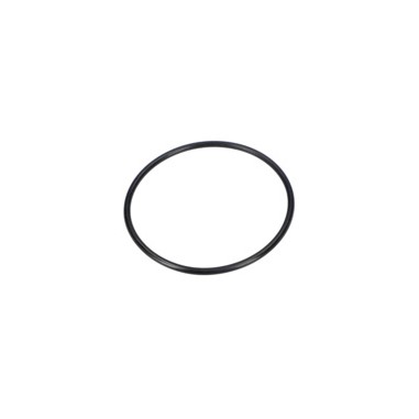 JOINT TORIQUE    F016F04063  D'ORIGINE BOSCH