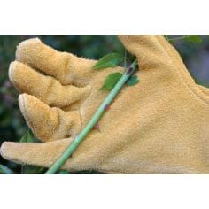 GANTS DE PROTECTION EPINES ET RONCES - ROSTAING 2