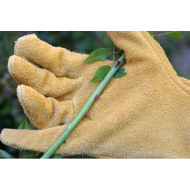 GANTS DE PROTECTION EPINES ET RONCES - ROSTAING GANTS DE PROTECTION EPINES ET RONCES - ROSTAING