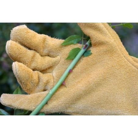 GANTS DE PROTECTION EPINES ET RONCES - ROSTAING GANTS DE PROTECTION EPINES ET RONCES - ROSTAING