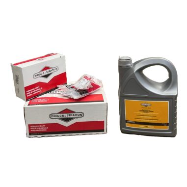 KIT ENTRETIEN SERIE VANGUARD V-TWIN - EFI FILTRE A AIR / FILTRE A ESSENCE / BOUGIE / BIDON HUILE - BRIGGS&STRATTON