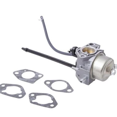 CARBURATEUR POUR MOTEUR 25M137 ( EX 799802) - PECE D'ORIGINE BRIGGS & STRATTON