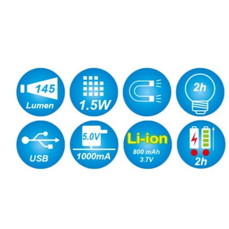 LAMPE D'INSPECTION (FORMAT PETIT) - KING TONY  LAMPE D'INSPECTION (FORMAT PETIT) - KING TONY