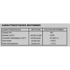 HUILE DE CHAÎNE Minerva 6/8AD Visco 100 cSt - bidon de 2 litres - USAGE SEMI INTENSIF 2