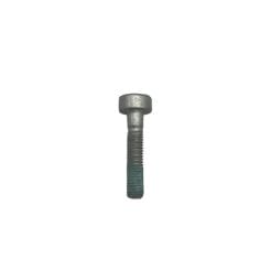 VIS CYLINDRIQUE IS-M 5X25 9022-346-1050 D'ORIGINE STIHL