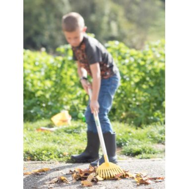 BALAI GAZON ENFANT - MANCHE BOIS CERTIFIÉ PEFC 100% LEBORGNE BALAI GAZON ENFANT - MANCHE BOIS CERTIFIÉ PEFC 100% LEBORGNE